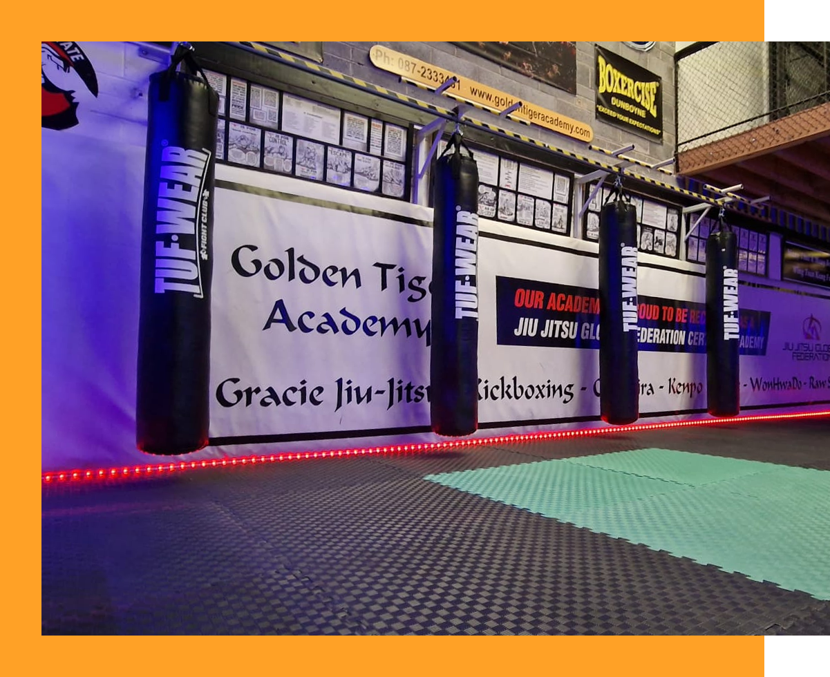 Muay Thai Heavy Bags in Golden Tiger Academy